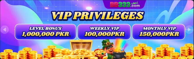 BB33 VIP Privileges